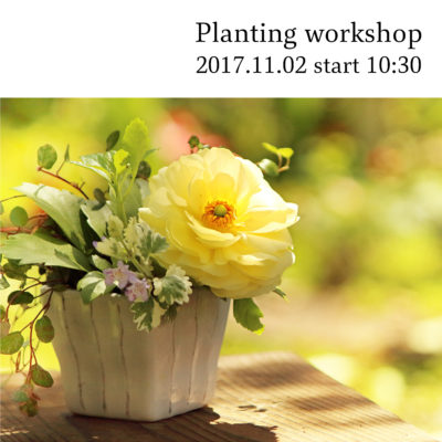 2017年11月2日 (木) 寄せ植え教室 開催 at MiRAi office