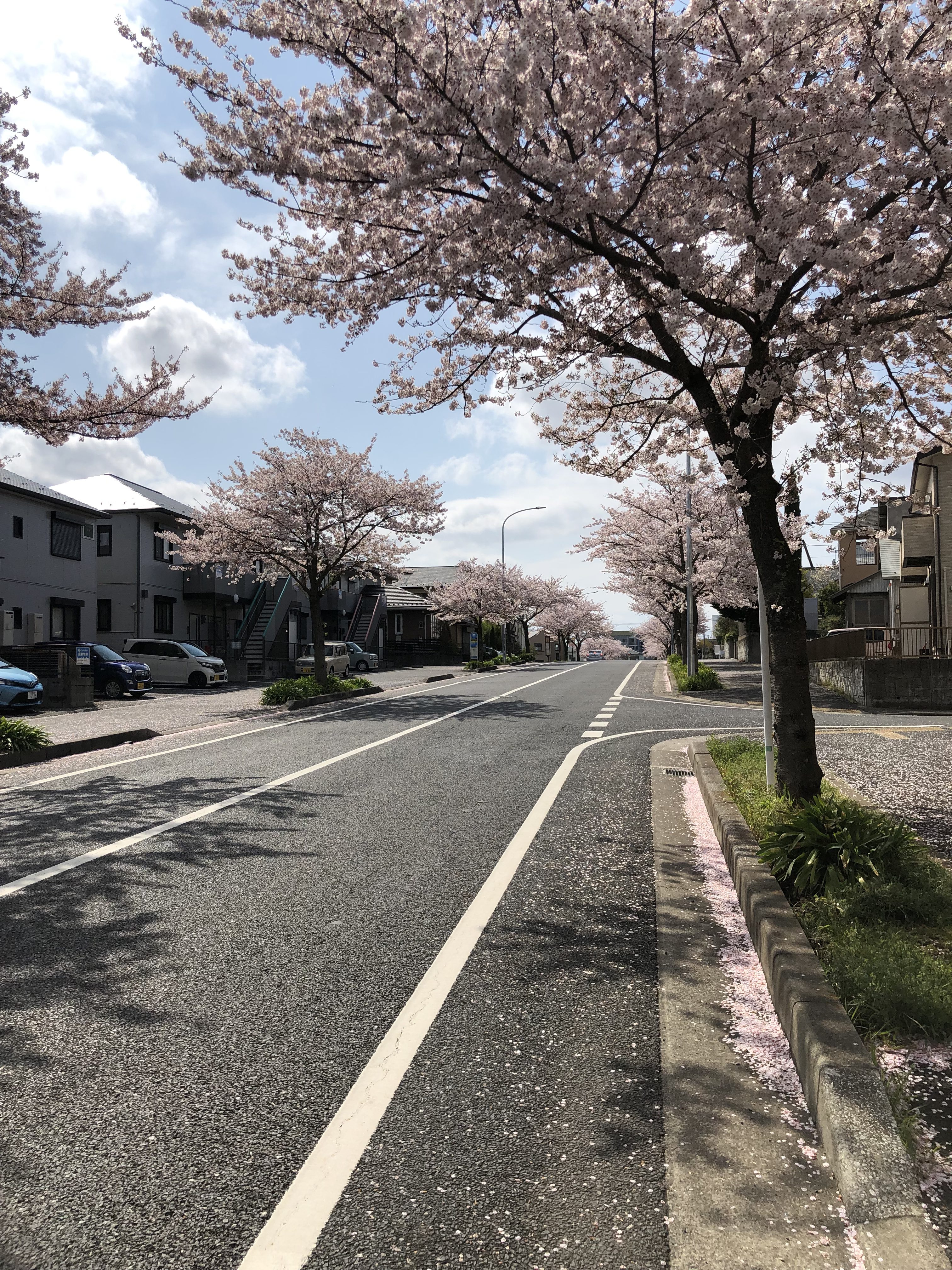 山梨県の工務店、未来建築工房とつくる注文住宅。｜千葉なう