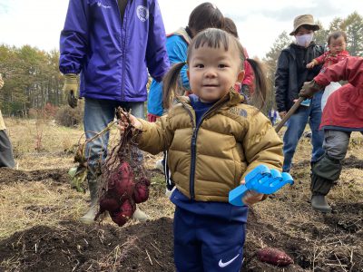 オチビーズと山中湖で芋掘り